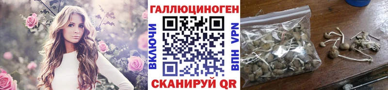Псилоцибиновые грибы Cubensis  Старая Русса 